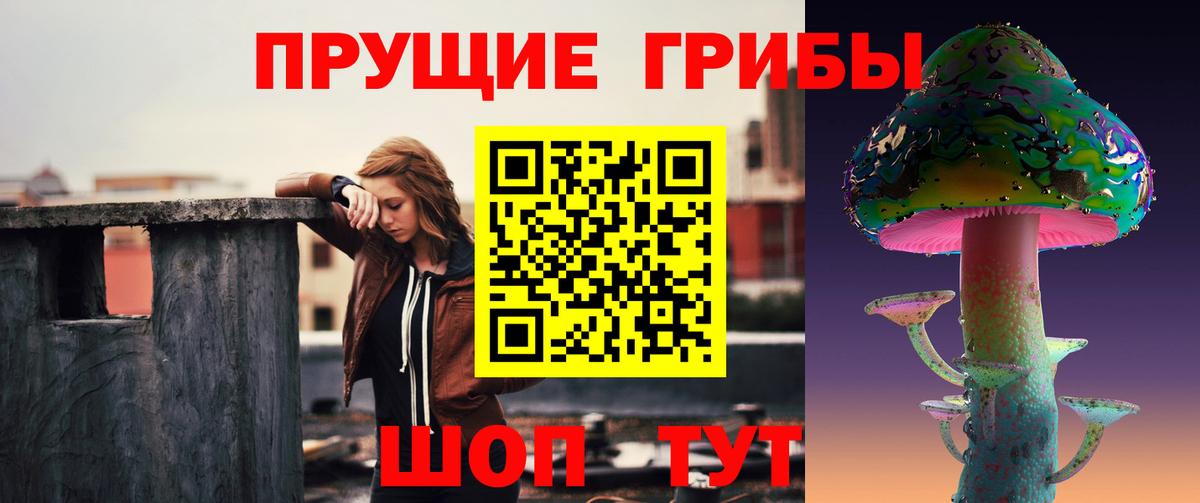 Псилоцибиновые грибы ЛСД  Вход с VPN  Ставрополь 